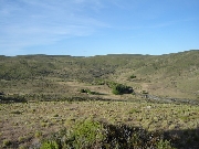 International real estates and rentals: Sale Field 625 ha Zone Of El Maitén. Chubut. Patagonia. Argentina.
