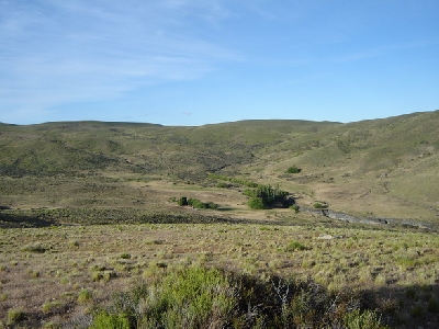 Property For Sale Or Rent: Sale Field 625 ha Zone Of El Maitén. Chubut. Patagonia. Argentina.