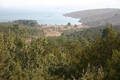 Property For Sale Or Rent: 1,640,000 sqm. Peninsula in Bodrum for sale