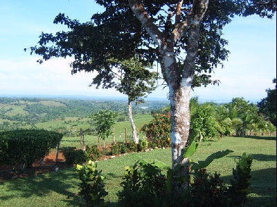 Property For Sale Or Rent: Beautiful Teak Farm in Mountains of Panama