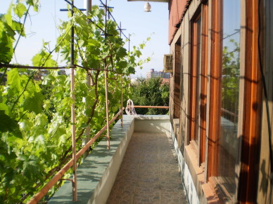 Property For Sale Or Rent: Apartment for rent in Yerevan