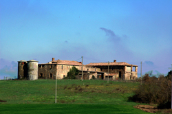 Property For Sale Or Rent: Country house totally to restore in Montalcino