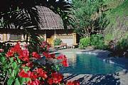 Property For Sale Or Rent: Luxury Balinese Style Home And Cottages