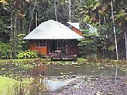 Real Estate For Sale: Totally Unique Rainforest Paradise