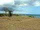 Real Estate For Sale: White Sandy Beachfront Land For Sale In Bali