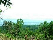 Real Estate For Sale: Bulk Ocean View Land In Bali For Sale