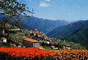 Real Estate For Sale: Country Houses In Northern Italy