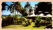 Property For Sale Or Rent: Taveuni Fiji's Best Oceanfront Accommodation