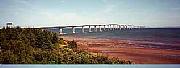 Real Estate For Sale: Organic 90 Acres Farm Directly On The Beach!
