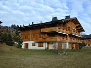 Property For Sale Or Rent: Attractive Luxury Apartment In Berner Oberland