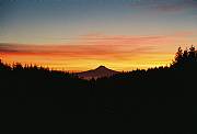 Real Estate For Sale: 53 Ac Mountain Top Retreat W/ Mt. Hood View