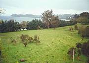 Real Estate For Sale: 20 Acres Of Land, 1200 Feet Beachfront, In Lake Llanquihue