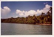 Real Estate For Sale: Caribbean Sea Front Lot