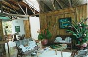 Real Estate For Sale: Caribbean Beach Lodge On Edge Of Rainforest