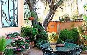 Property For Sale Or Rent: Your Home In San Miguel De Allende