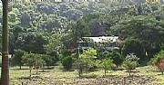 Real Estate For Sale: Jungle Rainforest Retreat