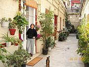 Rental Properties, Lease and Holiday Rentals: Very Charming Flat In Interior Patio In Old Barcelona