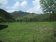 Real Estate For Sale: Farm  For Sale in Junin/Calceta, Manabi Ecuador