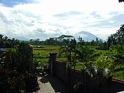 International real estates and rentals: Industrial Property For Sale In The Hills Of Central Bali.