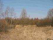 Real Estate For Sale: Attractive Land For Sale In Central Poland