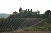 Real Estate For Sale: Heart Of Tuscany. Farm-Winery For Sale With A Panoramic View