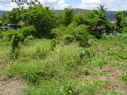 Real Estate For Sale: Prime Residential Building Lots