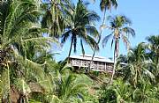 Property For Sale Or Rent: Private Oceanfront Villas On Rainforested Island