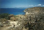 Real Estate For Sale: Ocean Front Land La Paz, Baja California