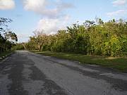 Property For Sale Or Rent: Large Lot For Sale In Exclusive Lyford Cay