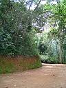 Real Estate For Sale: Land For Sale Sorrounded By The Atlantic Forest