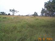 Real Estate For Sale: Arable Free Hold Land For Sale