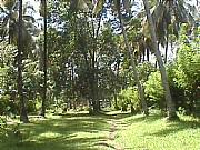 Real Estate For Sale: Land For Sale In Davao, Talomo River, Calinan ( Rush Sale )