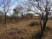 Property For Sale Or Rent: Well-Located Stand In Wildlife Reserve.