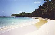 Real Estate For Sale: Titled Private Beach Land