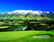 Real Estate For Sale: The Very Best Of New Zealand