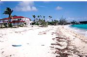 Rental Properties, Lease and Holiday Rentals: Beach Front Penthouse White Sand Beach 50 Feet To Blue Water