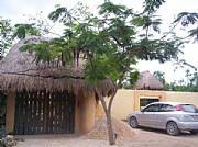 International real estates and rentals: Tulum Income Producing Property-Bed And Breakfast Potential