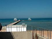 Real Estate For Sale: Marina In Front Of Coral Reef At Red Sea.
