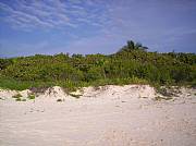 Property For Sale Or Rent: Tulum Beachfront Lot