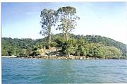 Real Estate For Sale: Tropical Private Island In Rio De Janeiro, Brazil $399,000