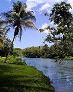 International real estates and rentals: Small Very Profitable Luxury Riverside Resort