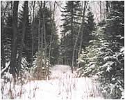 Real Estate For Sale: River Frontage In Minnesota Arrowhead Region - 4 Acres