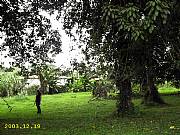 Real Estate For Sale: Tropical, Local Trees And Wildlife. Land In Costa Rica!