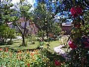 International real estates and rentals: Large & Comfortable B&B Has Fruit Trees & Ample Garden Space