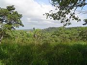 Real Estate For Sale: Best Priced Land In Panama