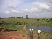 Real Estate For Sale: Farm Near The Ocean / Sauipe/Bahia