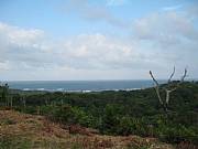 Property For Sale Or Rent: Caribbean Oceanview Lots On Presale
