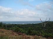 Real Estate For Sale: Caribbean Oceanview Lots On Presale