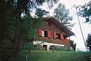 Property For Sale Or Rent: Chalet In The Swiss Alps On Two Blocks Of Land.