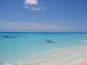 Real Estate For Sale: 1 Acre Oceanview Homestites From $89,000